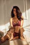 BH AV 2276 Soft Merlot